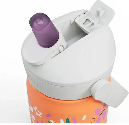 Camelbak Kids Water Bottle Butterfly Stainless Steel with Straw 350ml