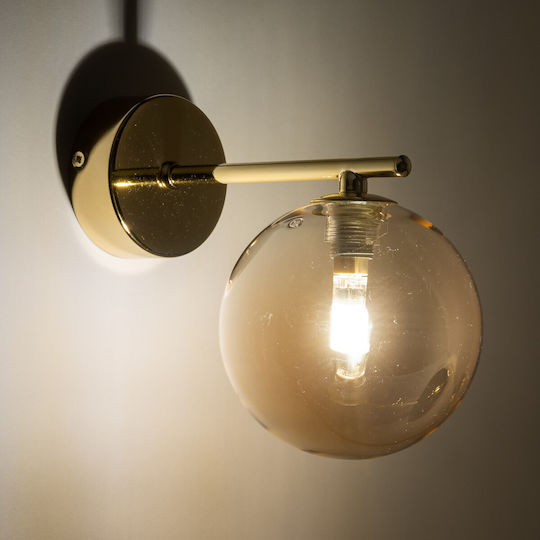 TK Lighting Estera Clasic Lumină de Perete cu Soclu G9 Auriu 22x17cm