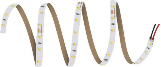 Ταινία Led Ls V 500 830 5 24w 3000k 4058075707818 Ledvance 4058075707818