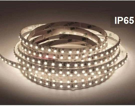 Vito Waterproof LED Strip 12V Natural White Light 5m Type SMD2835