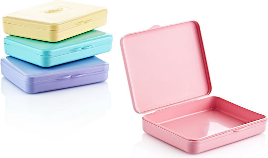 Organizer Storage Case for Sanitary Pads