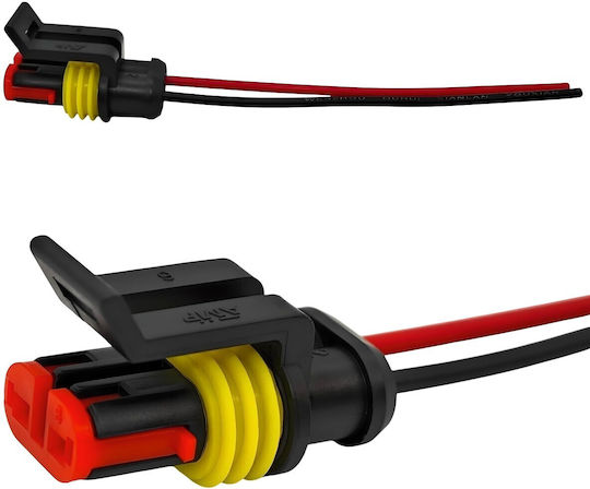Superseal 2-Pin Wasserdichter Anschluss