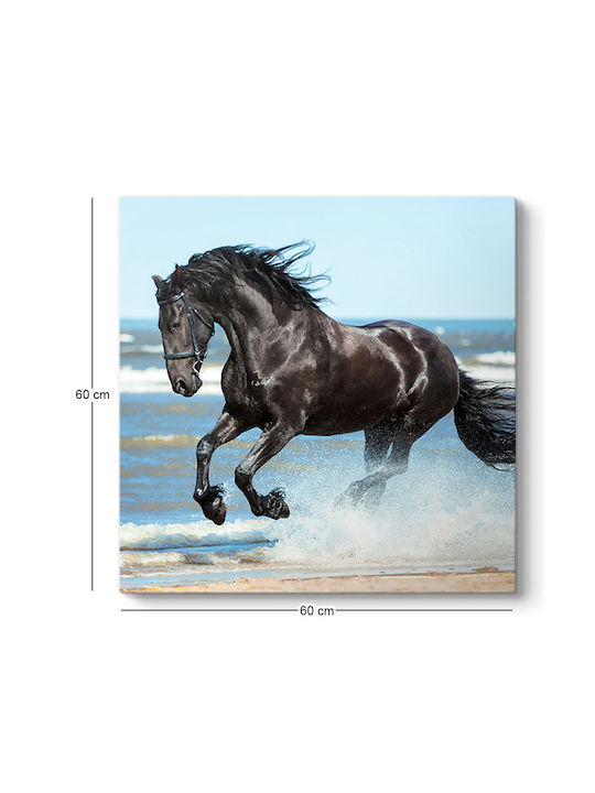Megapap Black Horse Painting on Canvas 60x60cm