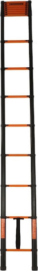 Vesta Telescopic Ladder Iron 12 of Steps with Maximum Height 4.7m