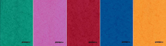 AG Trees Notebook Essay (with Margin) A4 50 Sheets Premium 1pcs (Μiscellaneous colours)