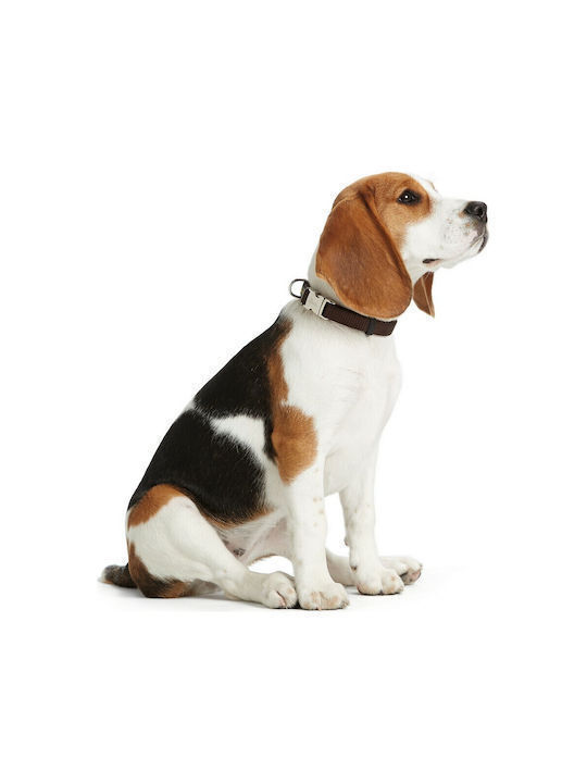 Hunter Halsung Vario Basic Alu-Strong Hundehalsband in Rot Farbe Klein 15mm x 30 - 45cm