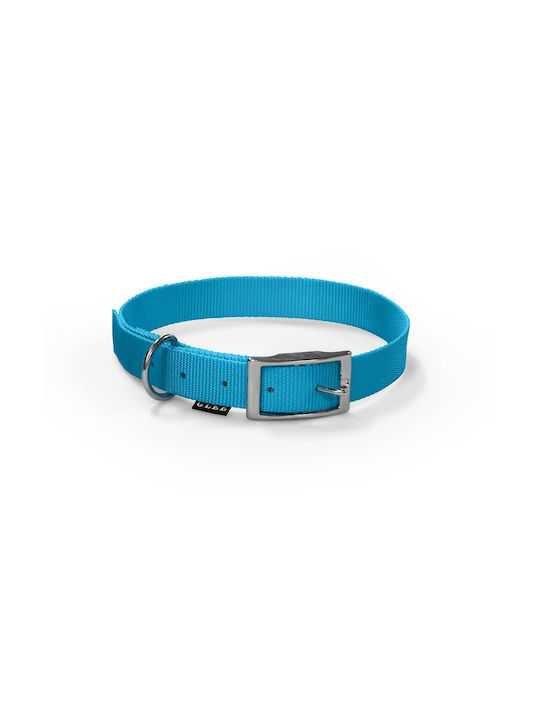Glee Hundehalsband in Türkis Farbe Klein 16mm Glee Hundehalsband in Türkis Farbe Klein 16mm