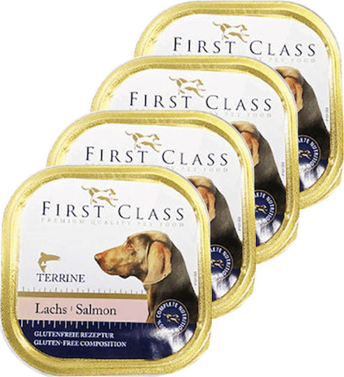 First Class Nassfutter Hunde in Tablett mit Lachs 300gr