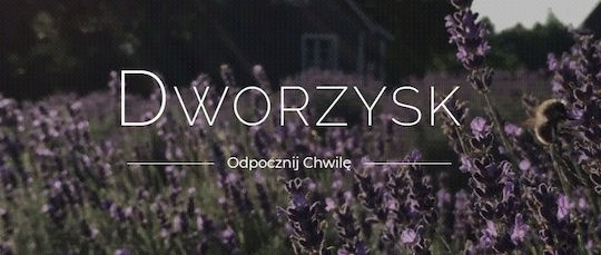 Dworzysk Spiritual Meadows Loose Tea 40g