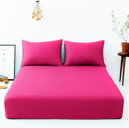Kotonia Home Kotonia Home