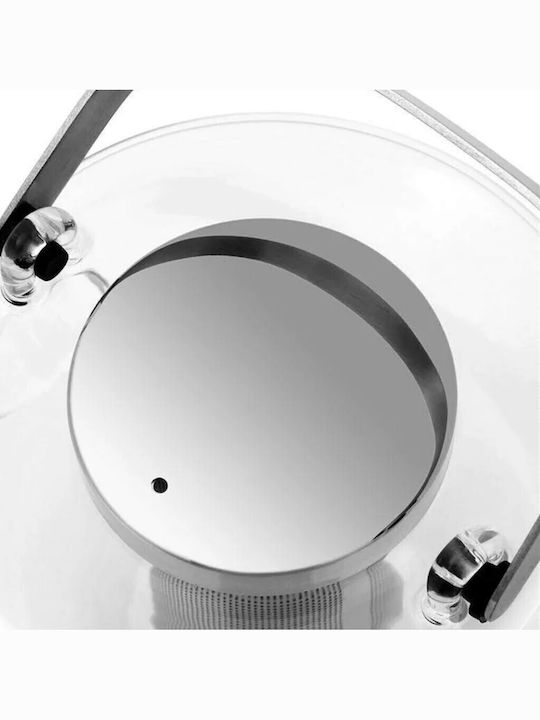 Viva Teapot Glass Transparent 650ml