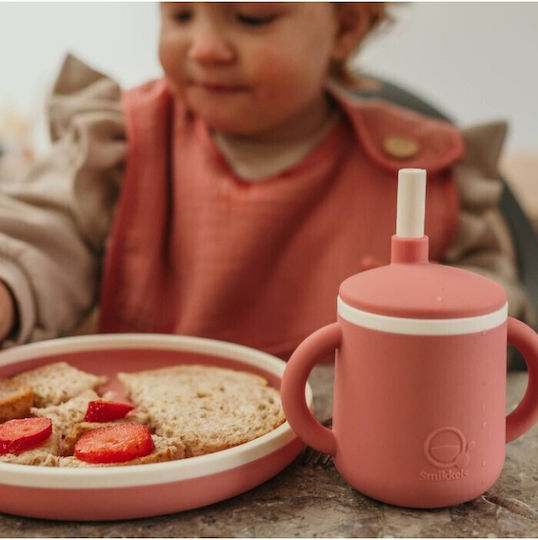 Smikkels Baby Food Plate made of Silicone Pink