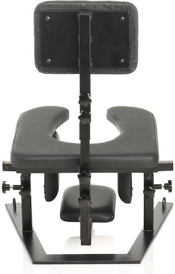 Master Series Pleasure Swing