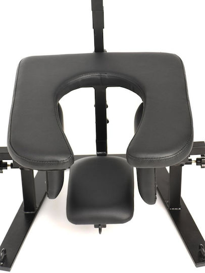 Master Series Pleasure Swing