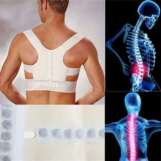 Factory Magnetic Belt Back for Men for Women White 7360