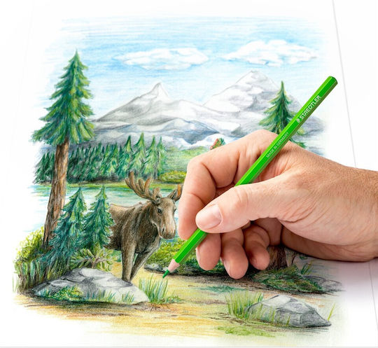 Staedtler 146c Farbstift-Set Aquarell in einer Box 72Stück Packung von 1 Verpackungen