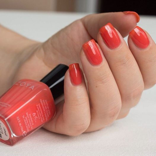 Zoya Glossy Long Lasting Quick Dry Nail Polish Elodie 15ml