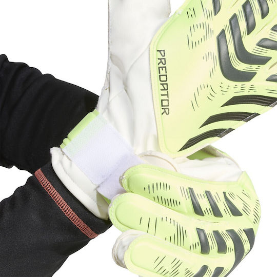 adidas Predator Training Γάντια Τερματοφύλακα Ενηλίκων Πράσινα