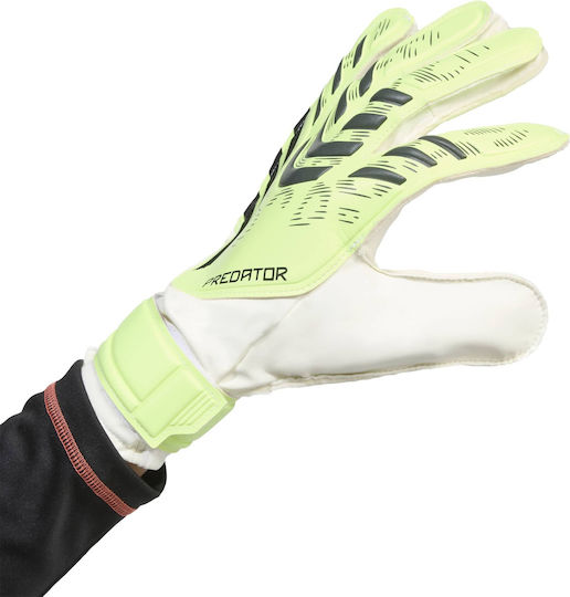adidas Predator Training Γάντια Τερματοφύλακα Ενηλίκων Πράσινα
