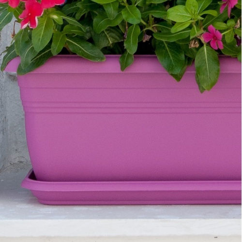 Viomes Plate Planter Bronze
