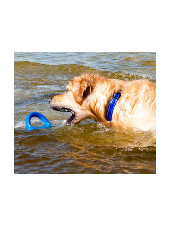 Rogz Pop Upz Training Toy Dog Medium 14.5εκ. Blue 1pcs RGPU04B