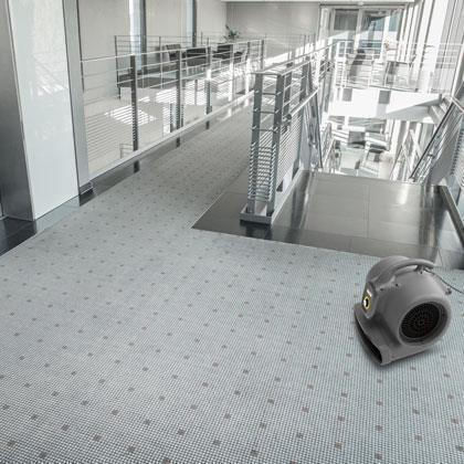 Karcher AB 20/1 Ec Στεγνωτήρας με Ισχύ 120W