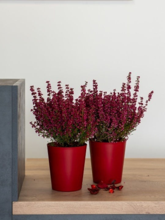 Kaspó Orchideás 1lt-d13x14h cm-Weiß