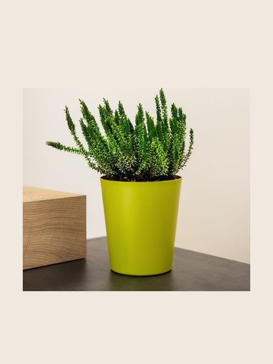 Kaspó Orchideás 1lt-d13x14h cm-Weiß