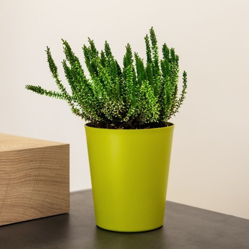 Pflanzentopf Orchidee 1lt-d13x14h cm-Titanium