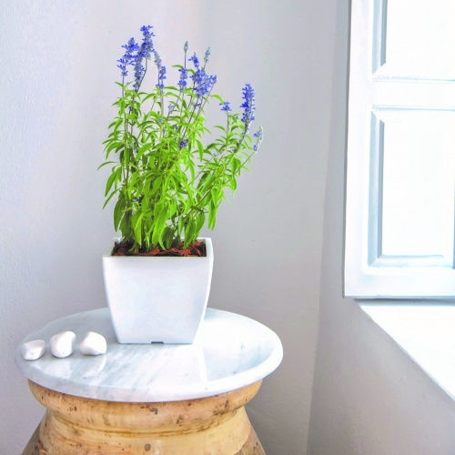 Plant Pots Tetp Linea 21lt 33x33x27h Cm Gray Brown