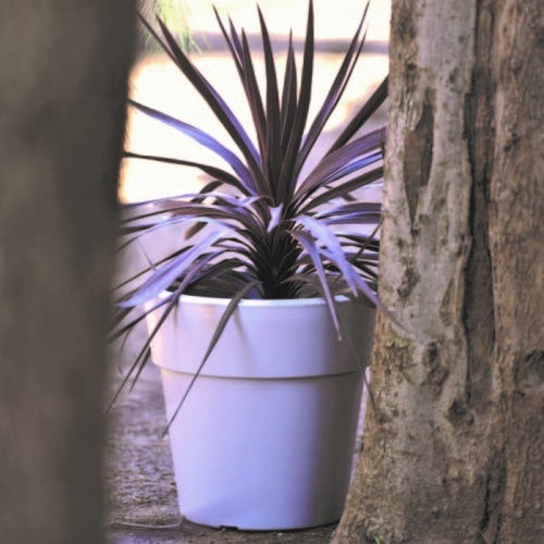 Viomes Linea Topf Kunststoff Charcoal 45x45x42cm.