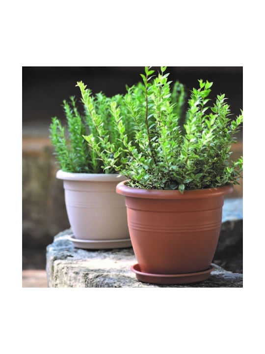 Viomes Terracotta Pot Plastic Marmari 25x25x21cm.