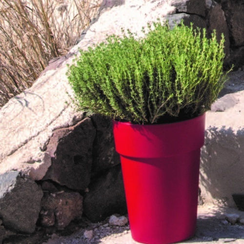 Viomes Linea Topf Kunststoff 25x25x34cm.