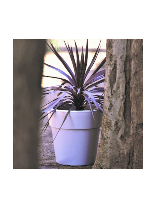 Viomes Linea Ghiveci Plastic 40x40x37.5cm.