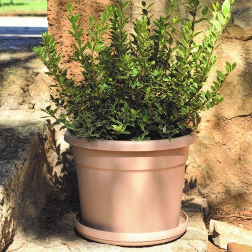 Viomes Cylindro Γλάστρα Πλαστική Πράσινη 25x25x19εκ.