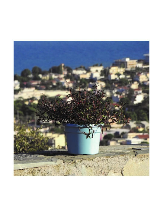 Viomes Cylindro Γλάστρα Πλαστική Σιελ Μπλε 25x25x19εκ.