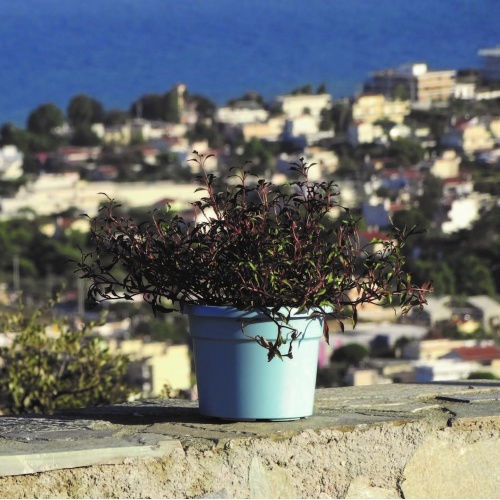 Viomes Cylindro Γλάστρα Πλαστική Σιελ Μπλε 25x25x19εκ.