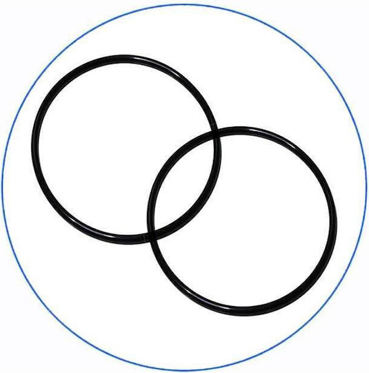 Aqua Filter Συσκευή Φίλτρου Νερού Διπλή Κεντρικής Παροχής Διατομής 1'' BBF211