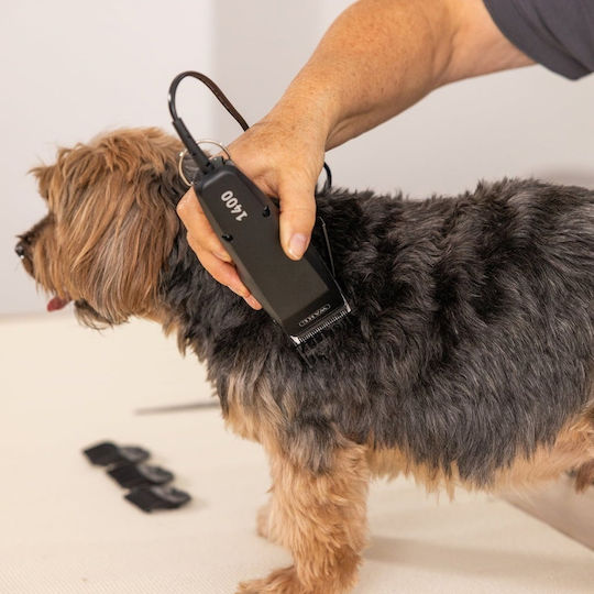 Dog Grooming Clippers Power