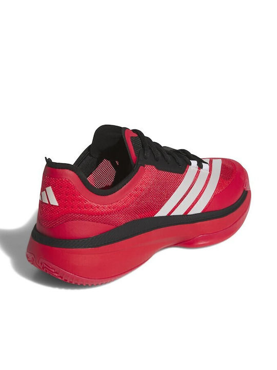 Adizero Select 3.0 Low Basketball Shoes Red