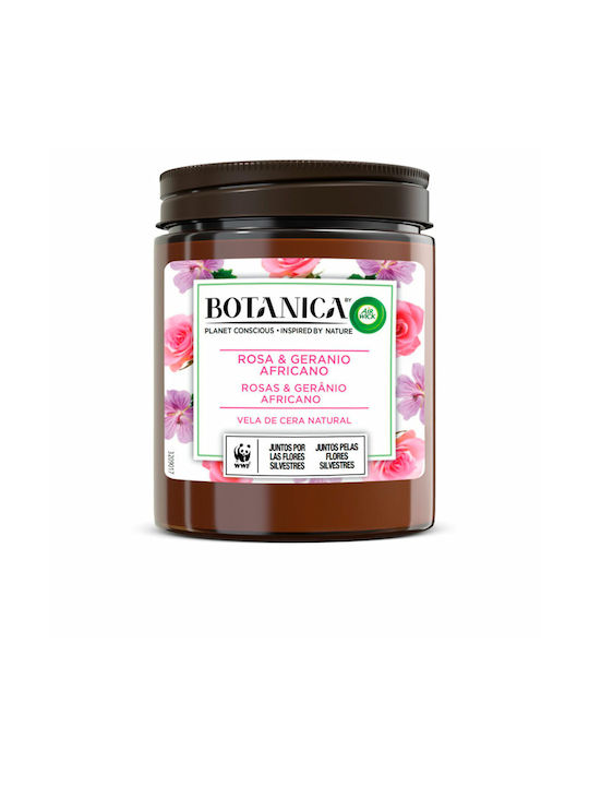 Airwick Aromatisch Kerze Botanica in Gefäß mit Parfüm Rose & Afrikanische Geranie