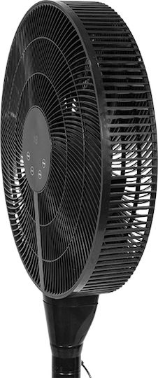Eurolamp Pedestal Fan 25W Black