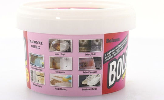 Paste Mehrzweckreiniger 1x300g