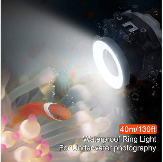 Diat SL-108 Manual Flash Macro Ring for Sony Cameras