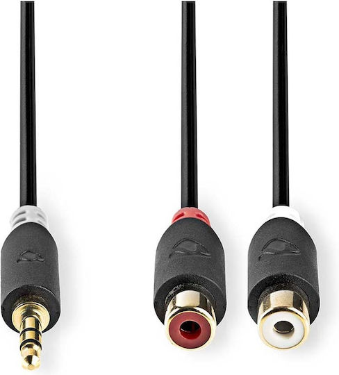 Nedis Audio Kabel Klinkenstecker 3,5mm Männlich Zu Doppel RCA-Buchse 0,2m Anthrazitgrau
