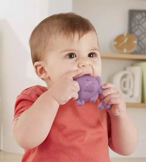 Fisher Price Beißspielzeug für das Zahnen für 3 m+