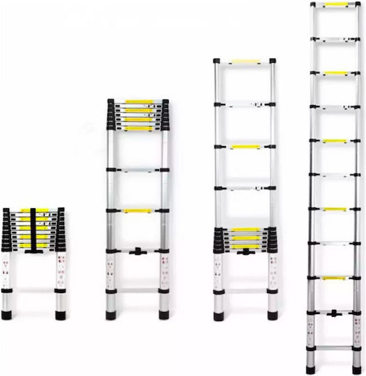 Vesta Telescopic Ladder Aluminum 15 of Steps with Maximum Height 4.4m