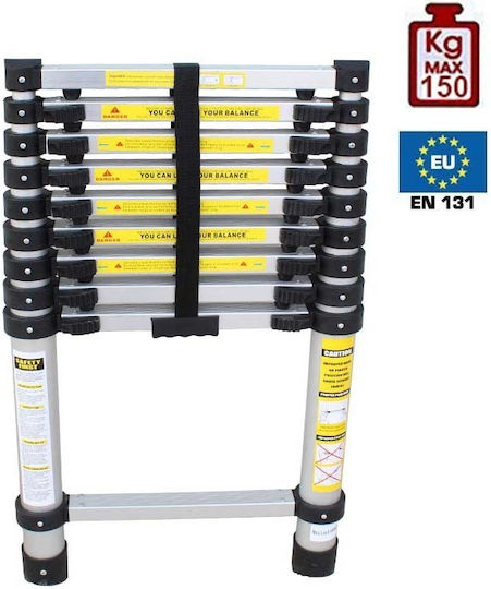 Vesta Telescopic Ladder Aluminum 10 of Steps with Maximum Height 2.9m
