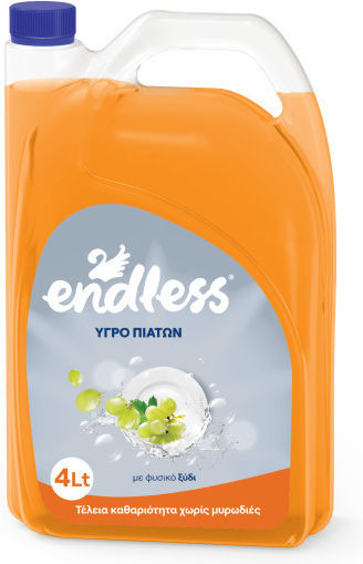 Endless Επαγγελματικό Υγρό Πιάτων με Άρωμα Ξύδι 4lt