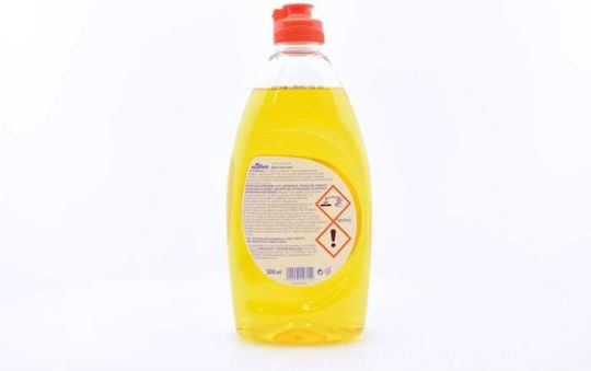 Endless Υγρό Πιάτων με Άρωμα Εξωτικό Νησί 500ml